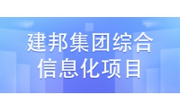 建邦集團綜合信息化建設項目